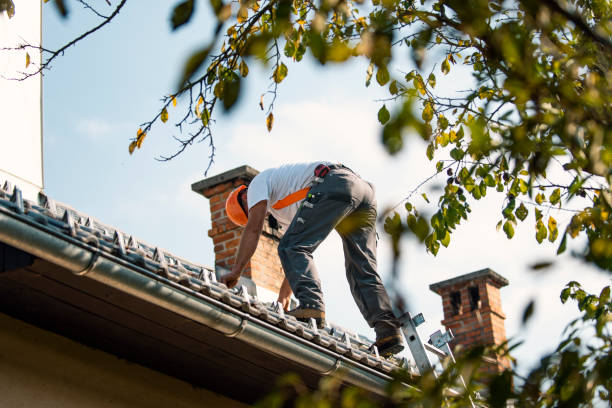 Best Roof Gutter Cleaning  in Lebanon, IN